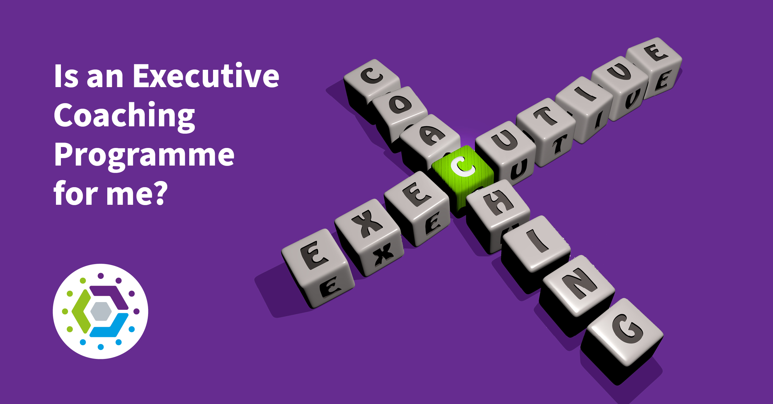 Executive Coaching Programme – the best investment you can make for you, and your business.